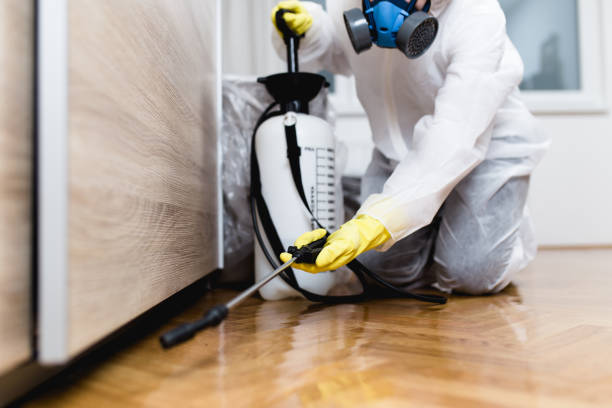 Best Mosquito Control Services  in Elma, WA