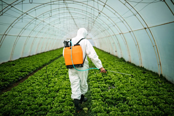 Best Best Pest Control Companies  in Elma, WA