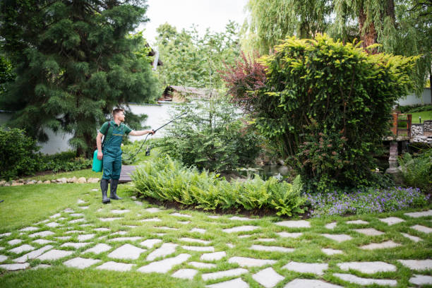 Trusted Elma, WA Pest Control Experts