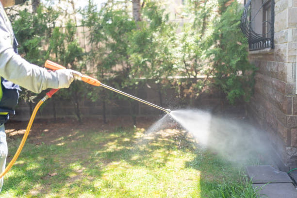 Best Pest Prevention Services  in Elma, WA